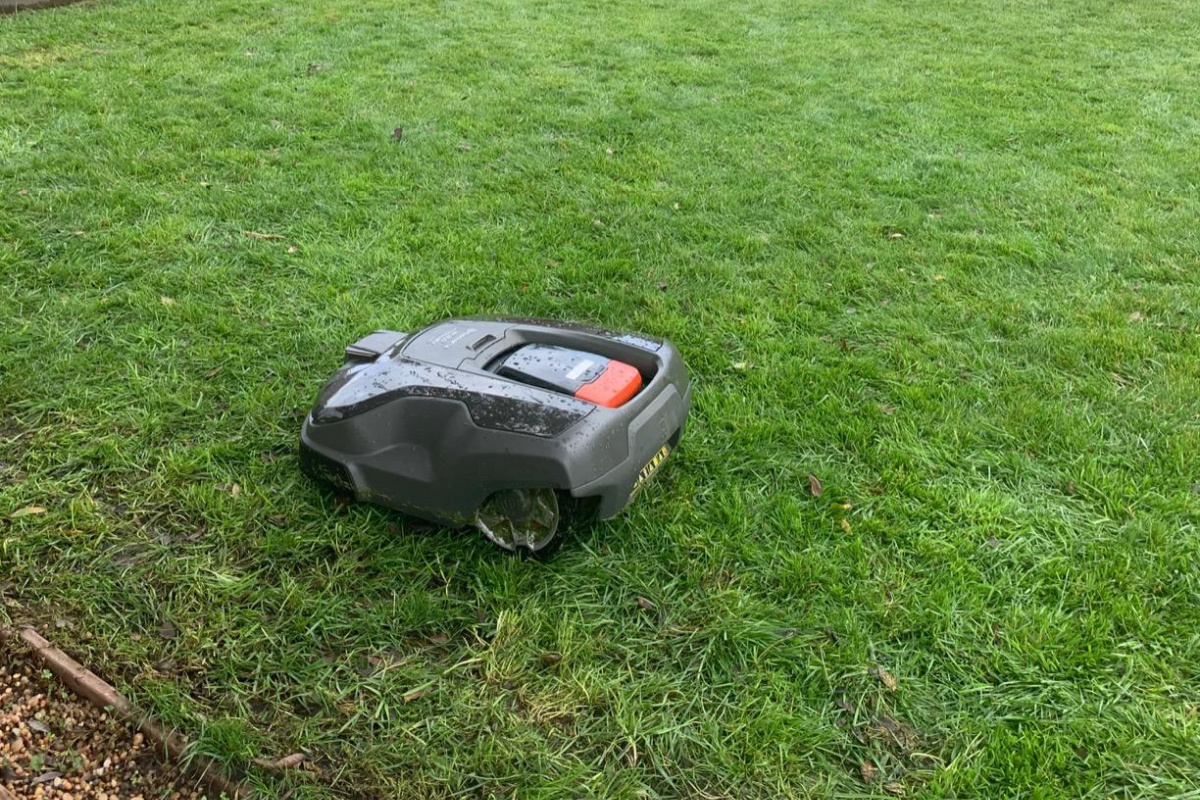 robot lawn mower in yard