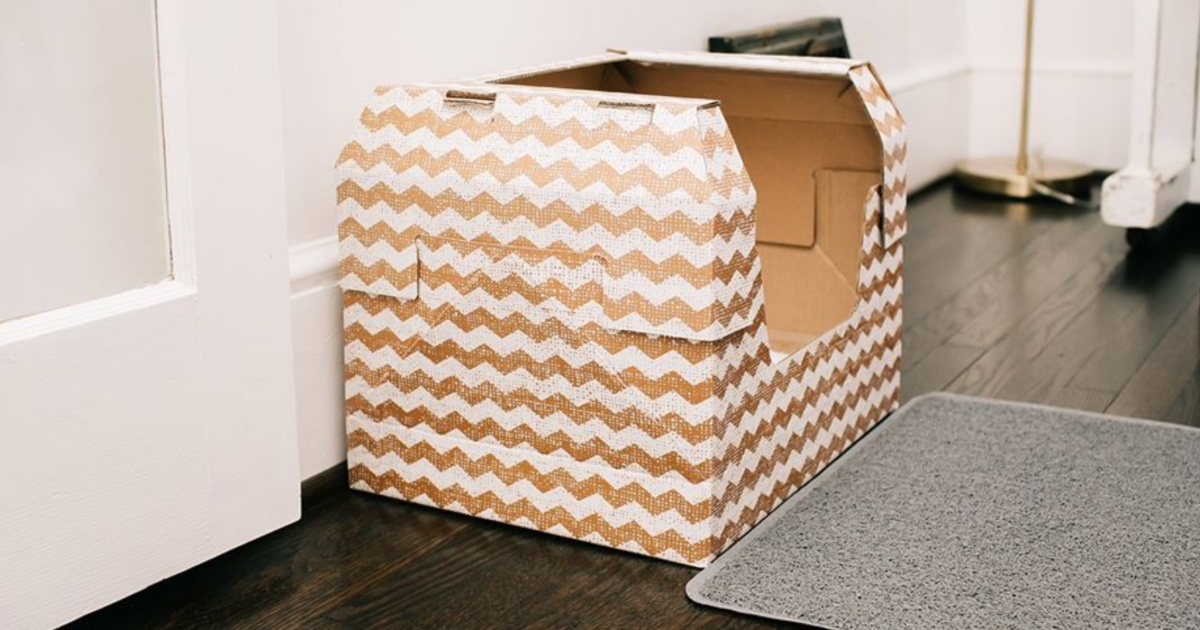 cardboard litter box