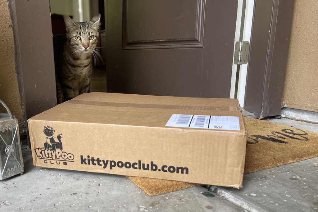 kitty poo club at door w/ cat