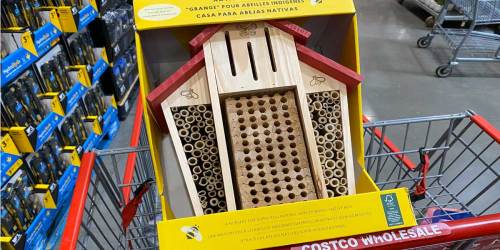 Native Bee Barn Just $23.99 at Costco | Great for Gardens