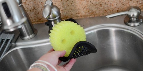 A Few Team Members Agree – This Under $5 Sponge Holder is the BEST!