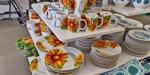 Sunflower Dinnerware Collection Only $1 at Dollar Tree