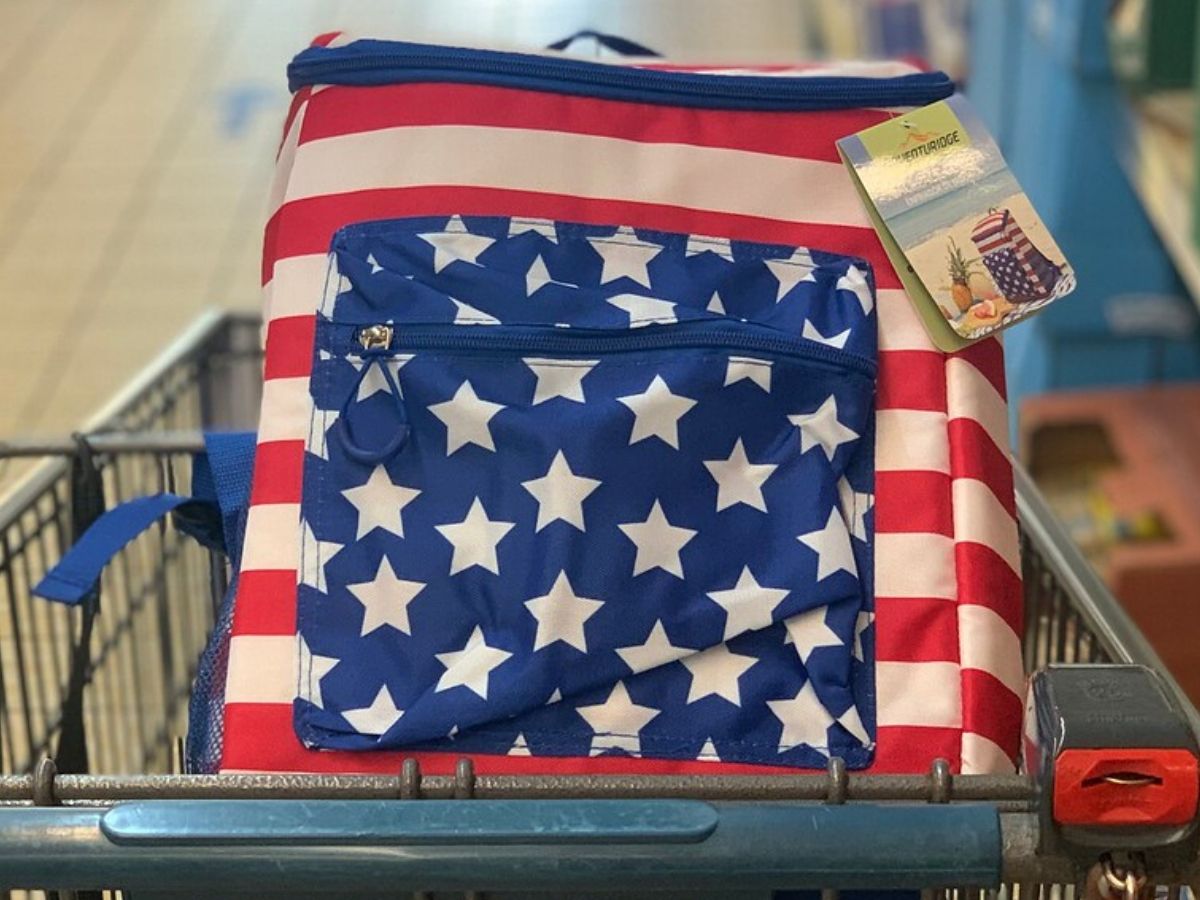 aldi electric cooler