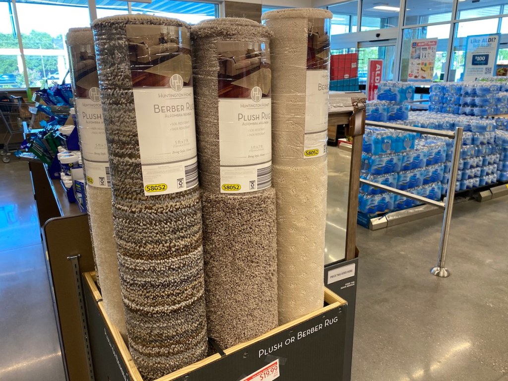 Huntington Home 5'x7' Area Rugs Only 19.99 at ALDI