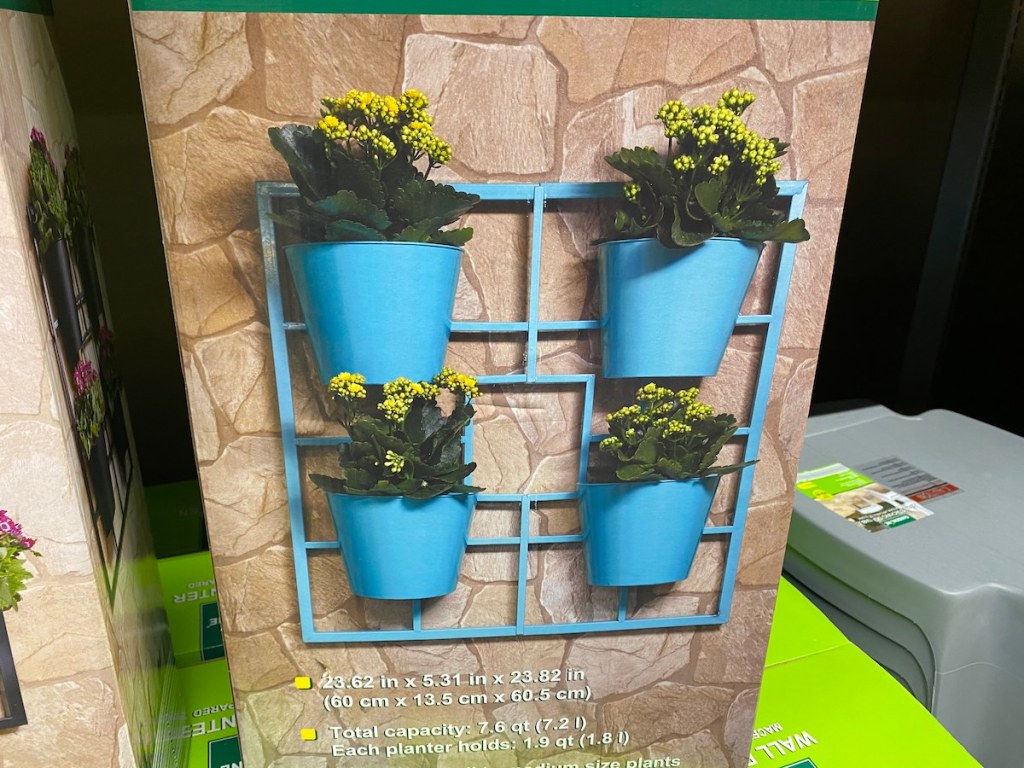 blue colored gardeline wall planter in box
