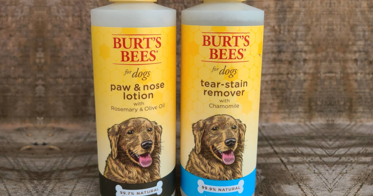 burt's bees dog paw and nose lotion