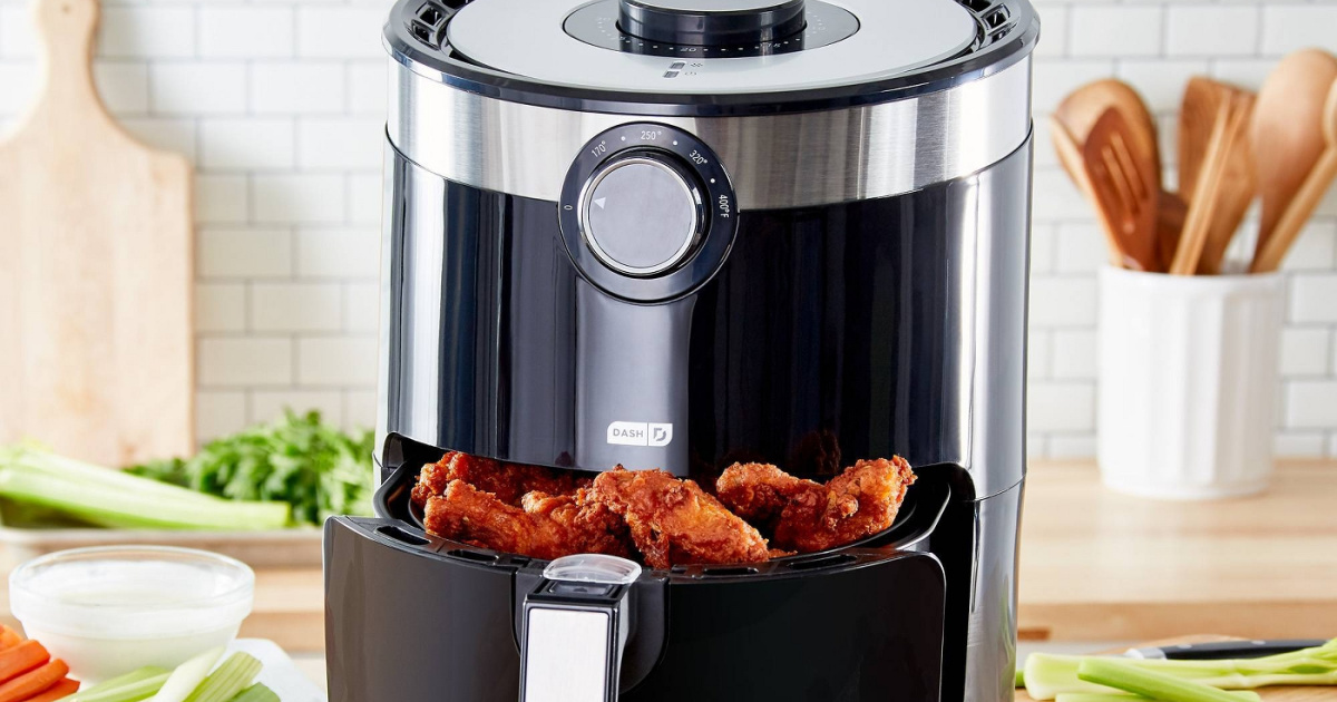 Dash Aircrisp Pro Air Fryer 2 Qt Review - Dash Compact Air Fryer Stopped  Working 