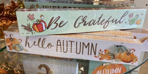 Fall & Harvest Decor Now Available at Dollar Tree | In-Store & Online