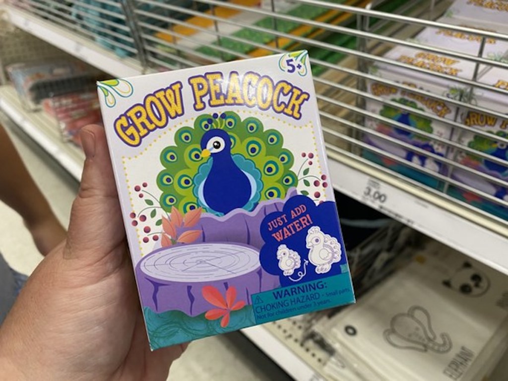 hand holding grow peacock box from the Target Bullseye