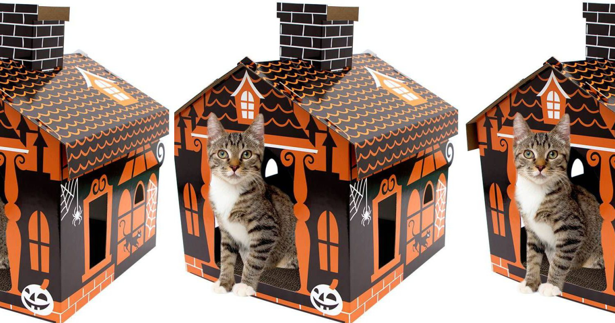 Hyde EEK Haunted House Cat Scratchers from 14.99 on Target