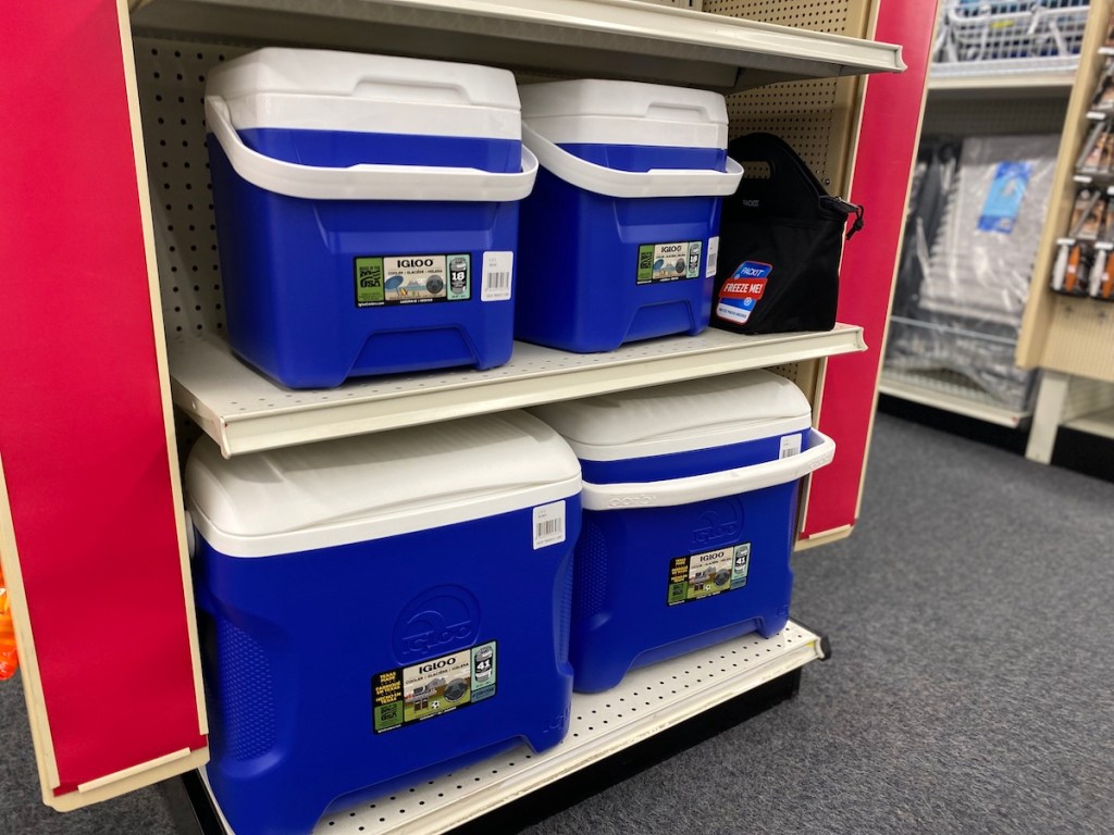 IGLOO coolers on shelf at a store