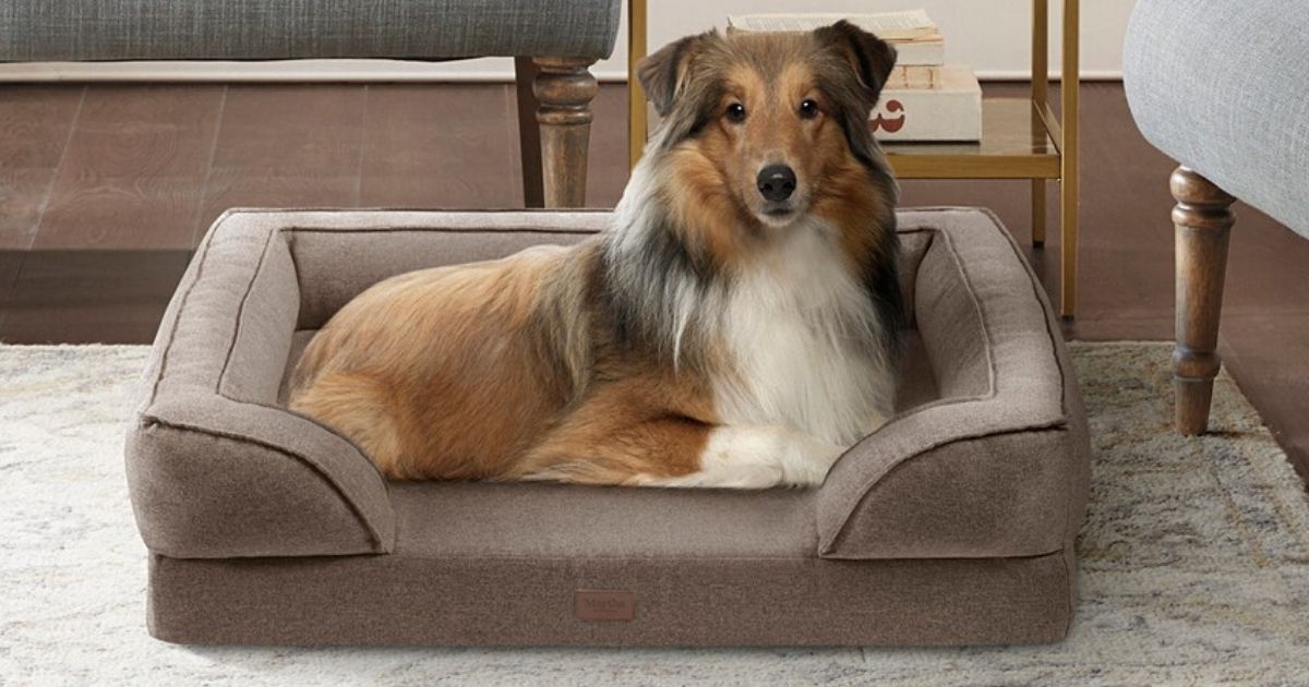 martha stewart dog pillow