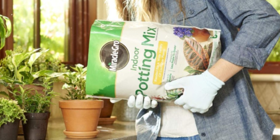 WOW! 50% Off Miracle-Gro Potting Mix on Target.com – Bags from $2.99!
