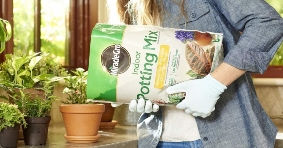 WOW! 50% Off Miracle-Gro Potting Mix on Target.com – Bags from $2.99!