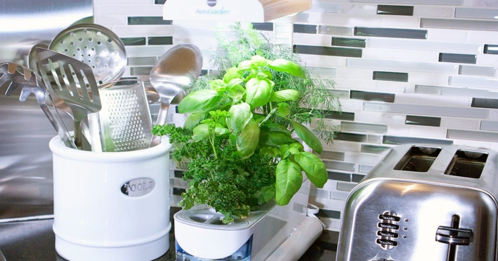 white indoor hydroponic planter with fresh herbs growing in it on kitchen counter near toaster and kitchen utensils
