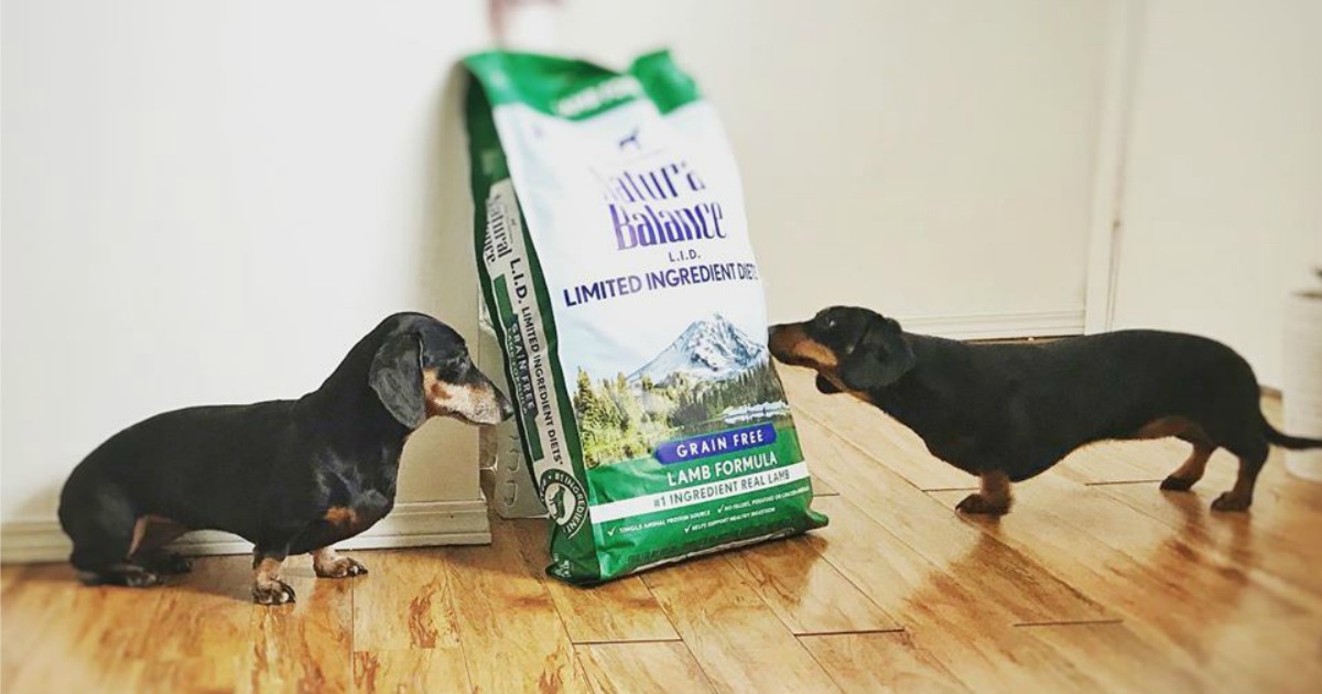 amazon natural balance dog food