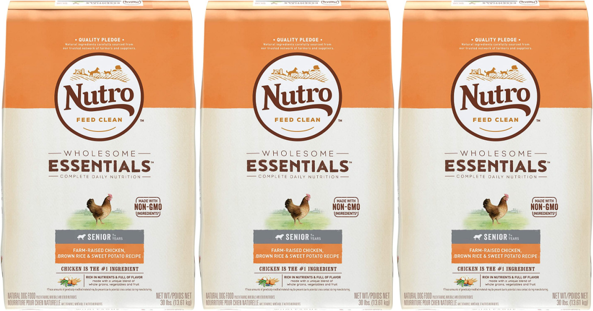 nutro dog food chewy