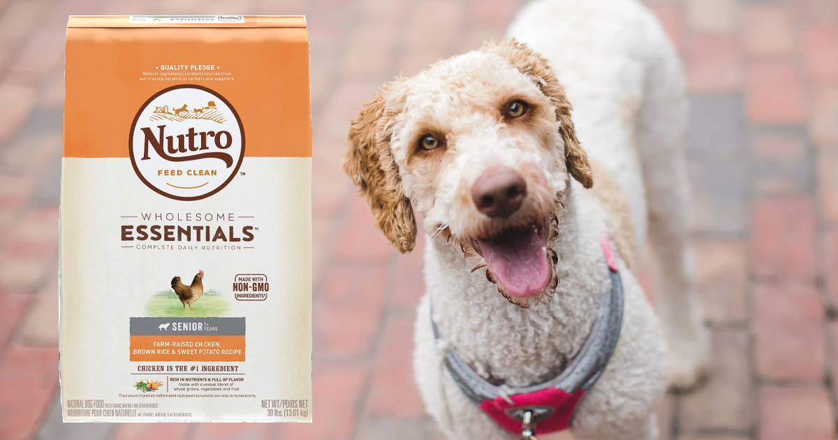 nutro-wholesome-essentials-senior-dog-food-60lbs-only-41-66-shipped-on