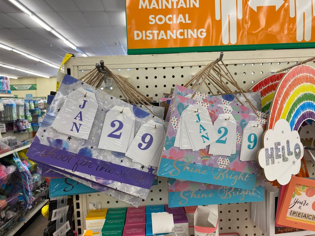 Perpetual Calendars, Monthly Planners & More Only 1 at Dollar Tree