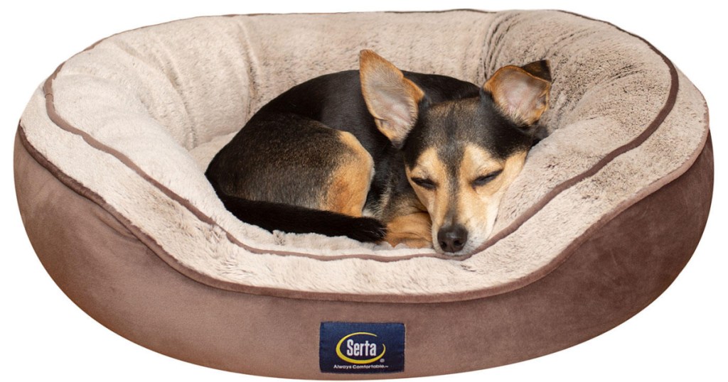 small dog laying on light brown pet bed