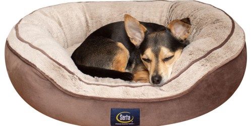 Serta Dog Bed Just $14.91 on SamsClub.com (Regularly $30)