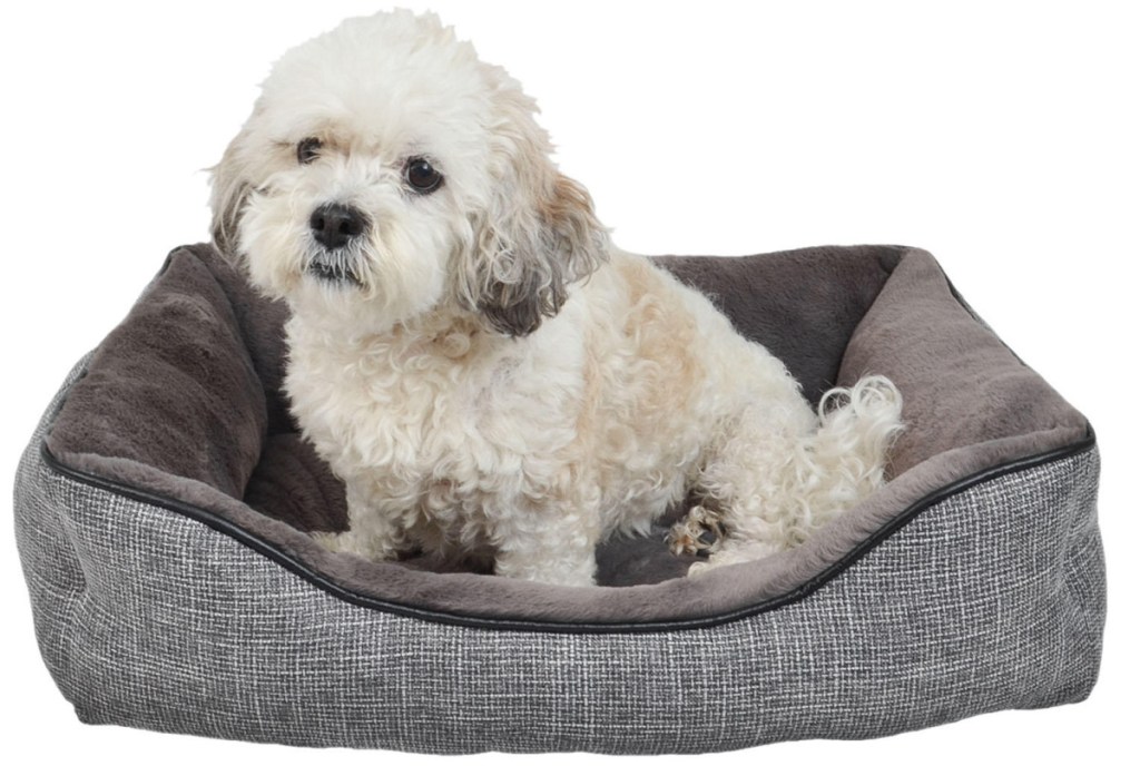 small white dog sitting on grey pet bed
