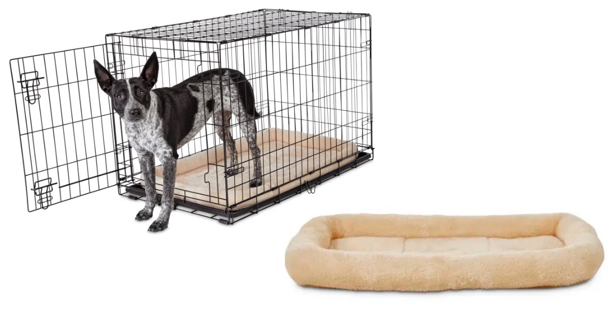 petco dog crate pads