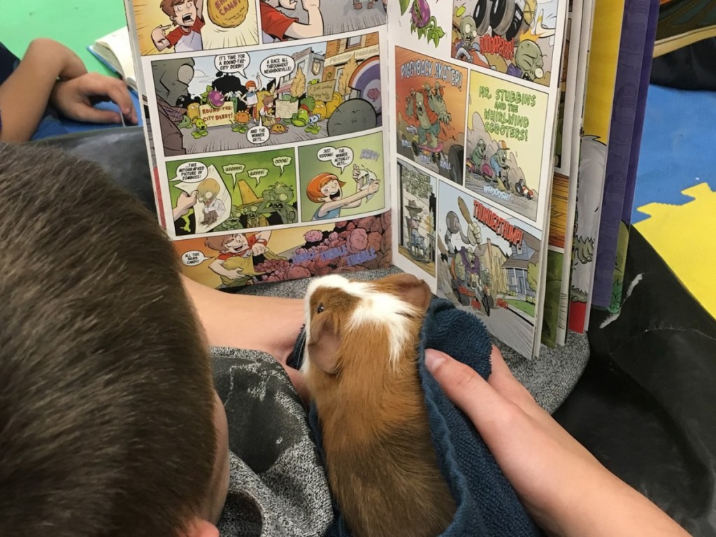 child sitting reading a book to a hamster 