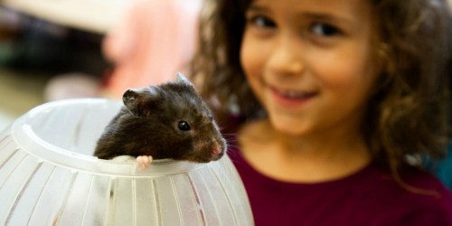 Teachers! Here’s How to Score a Grant for a Classroom Pet (Even If You’re Teaching Virtually)