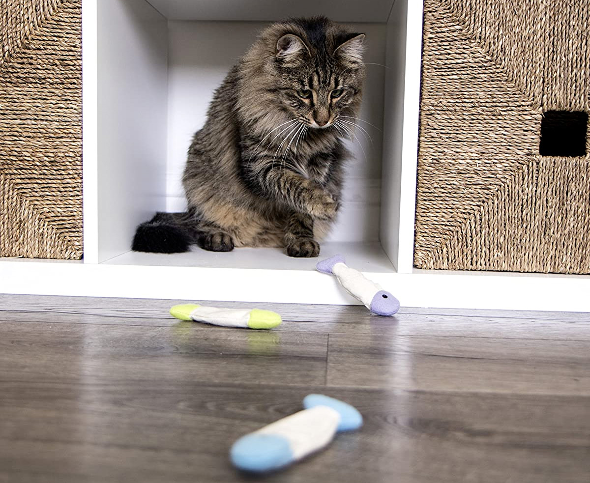 cat sitting in cubby of storage shelf batting at a fish shaped cat toy