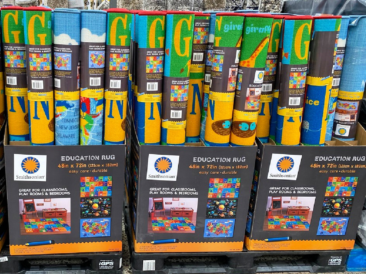 Smithsonian Educational Rugs at Costco