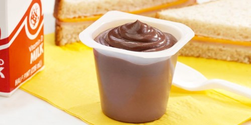 Snack Pack Chocolate & Vanilla Pudding 72-Count Only $15 Shipped on Amazon (21¢ Each)