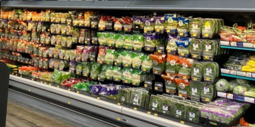 30 States Recall Fresh Express Bagged Salads | Check Your Fridge