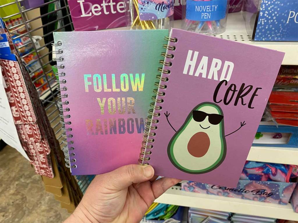 hand holding purple notebooks in store