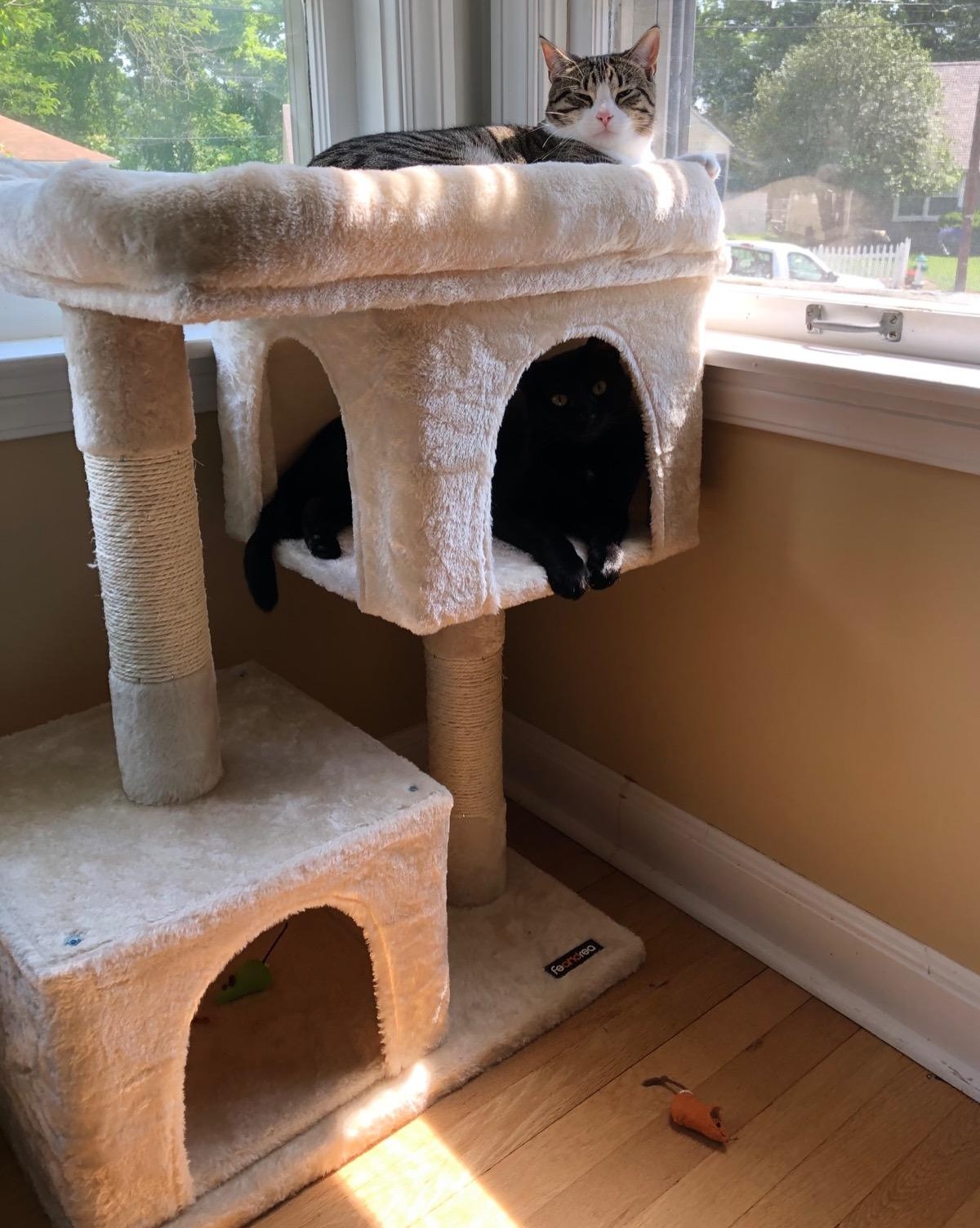 7 of the Best Cat Trees & Condos on Amazon, 5-Star Rated | Hip2Save