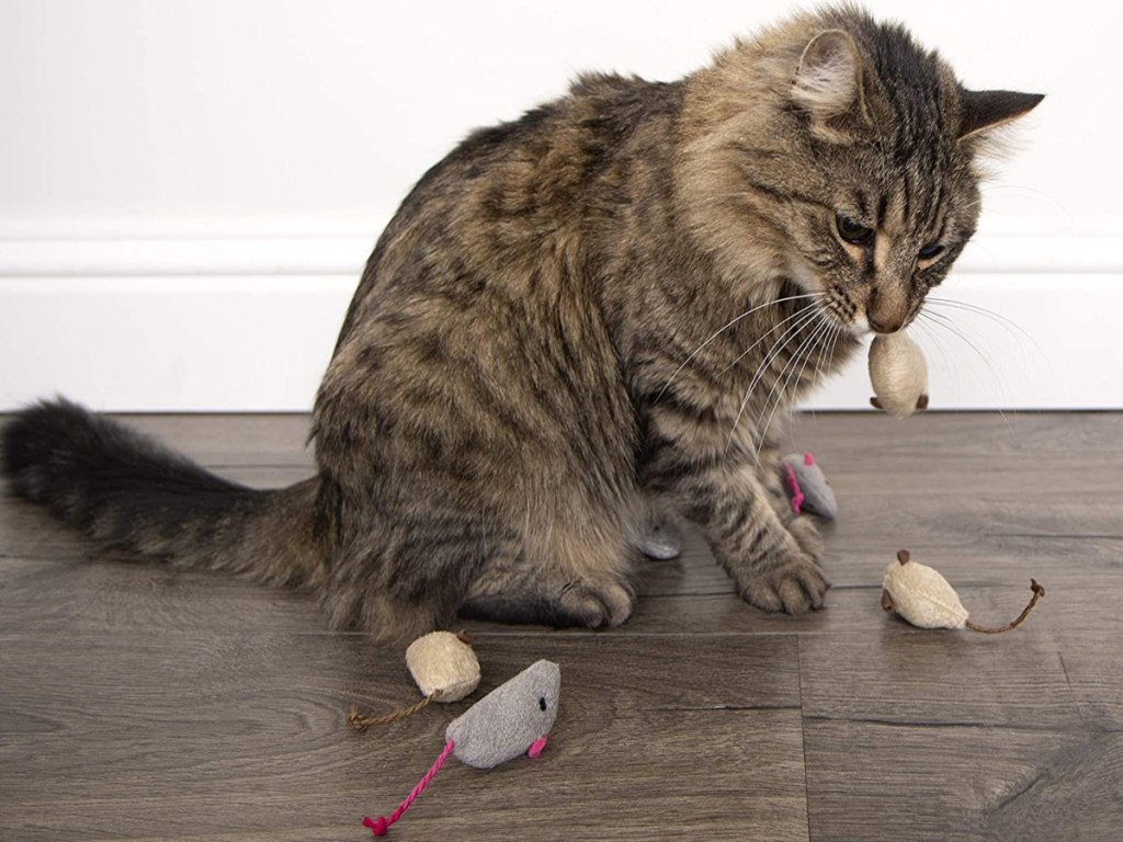 cat playing with catnip mice toys on a wooden floor