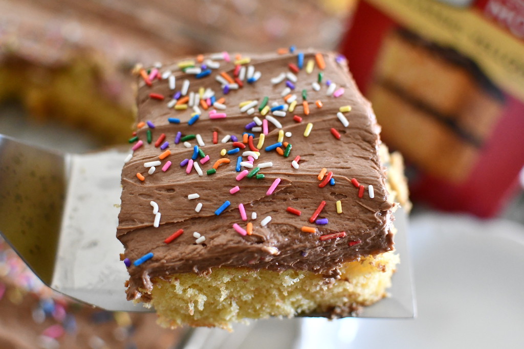 big slice of chocolate cake with sprinkles 
