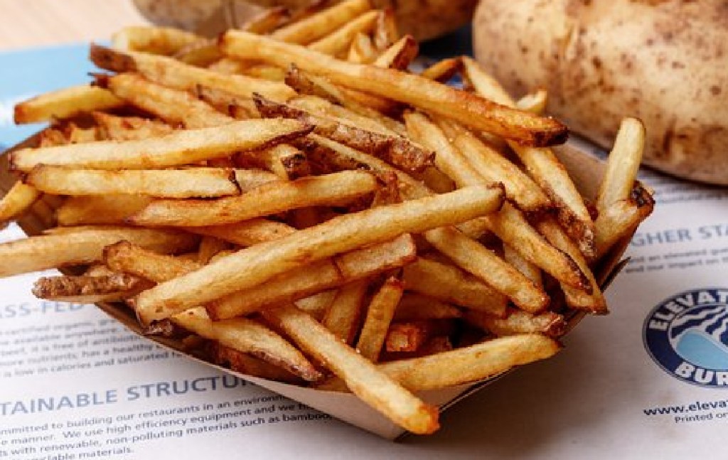 elevation burger french fries