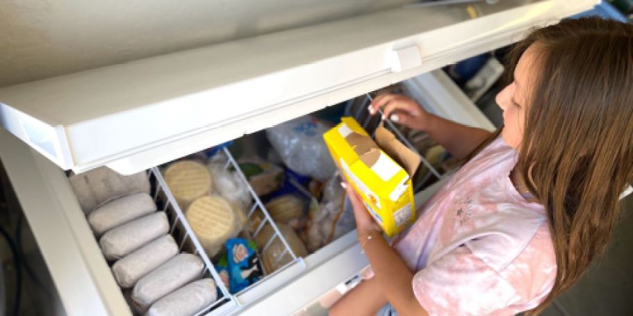 Upright or Chest Freezer? Top 5 Picks That Last a Lifetime