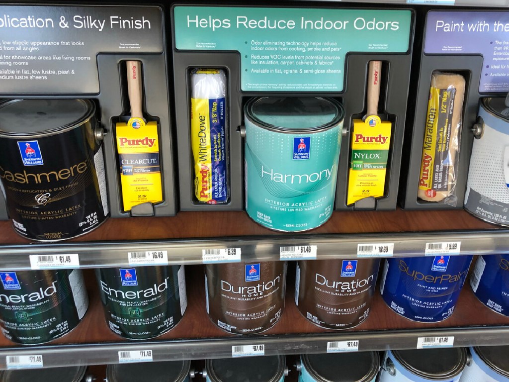 supplies in paint store including paint, stain and brushes