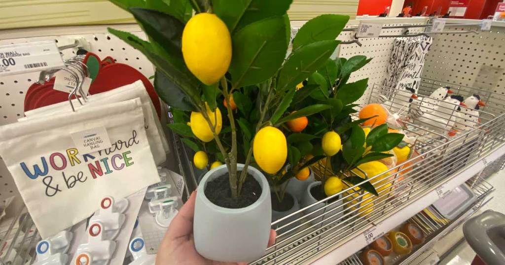 hand holding lemon and orange tree