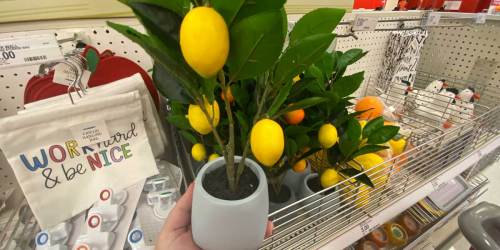 Home Decor $5 or Less at Target | Artificial Citrus Trees, Wall Shelves, & More