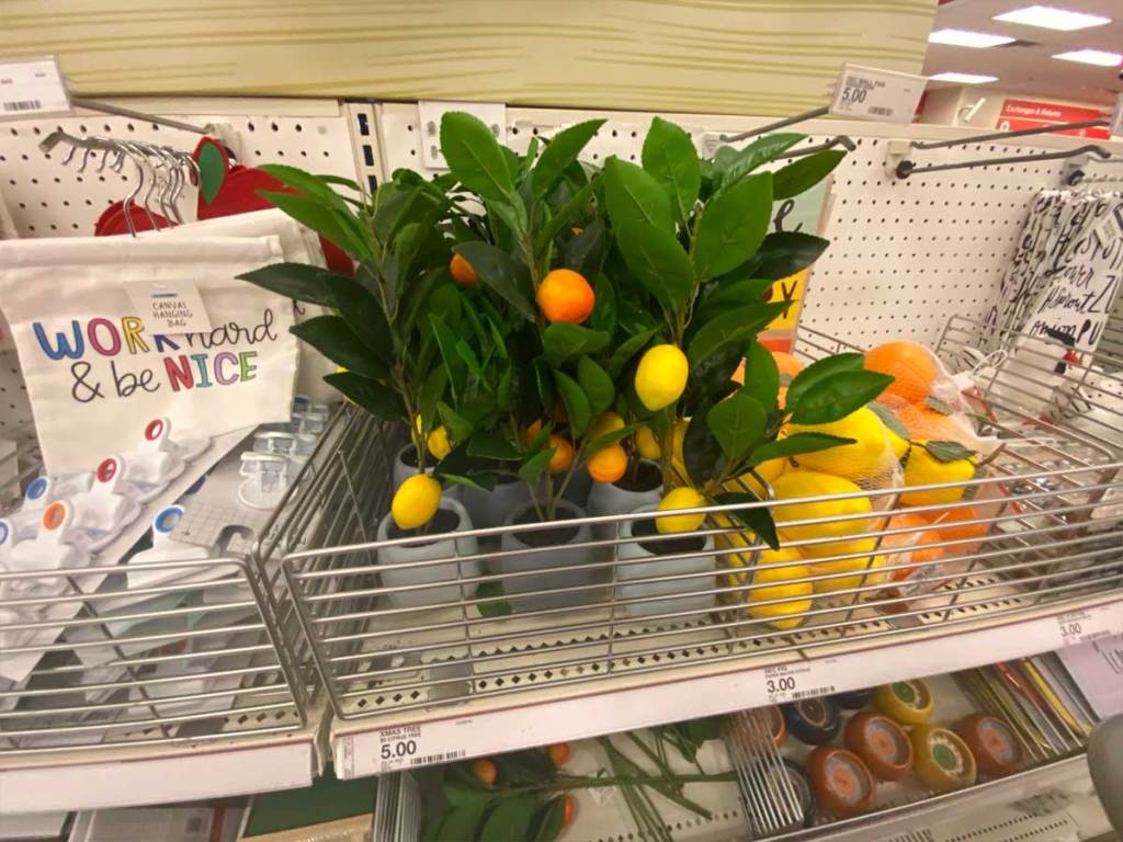 lemon and orange tree on shelf