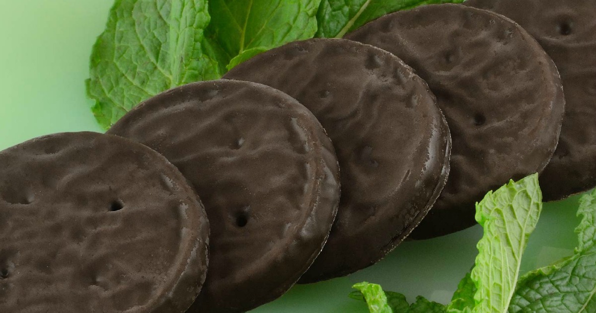 Chocolate covered mint cookies in a row on a mint leaf
