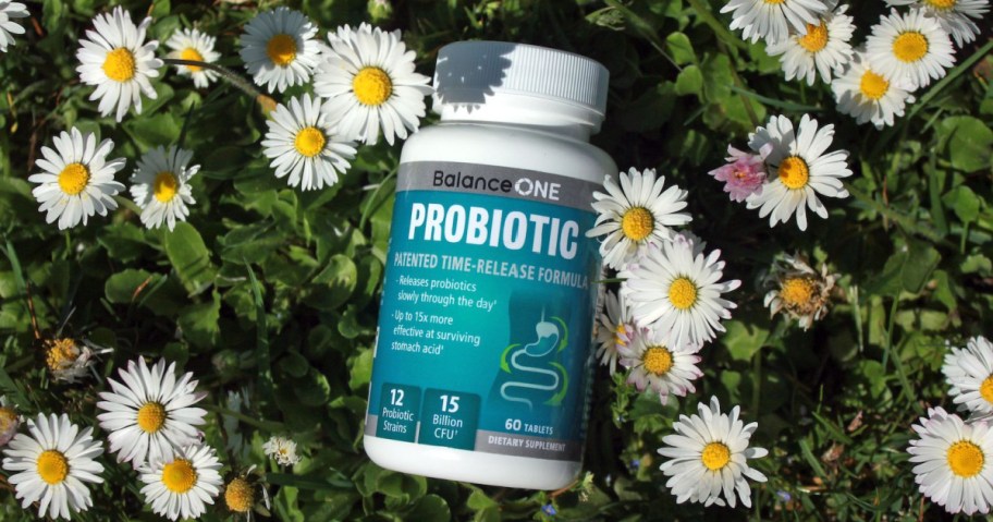 balance one probiotic with daisies