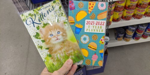 Monthly Planners & Wall Calendars Just $1 at Dollar Tree | Many Fun Styles