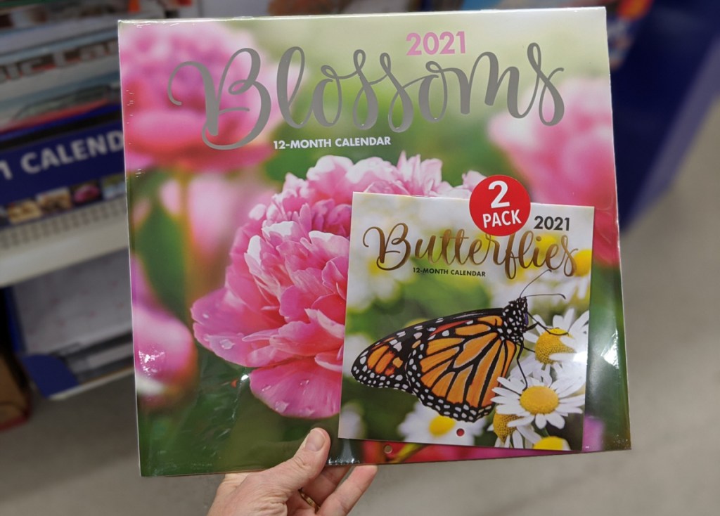 Monthly Planners Wall Calendars Just 1 At Dollar Tree Many Fun Styles A Couponer S Life