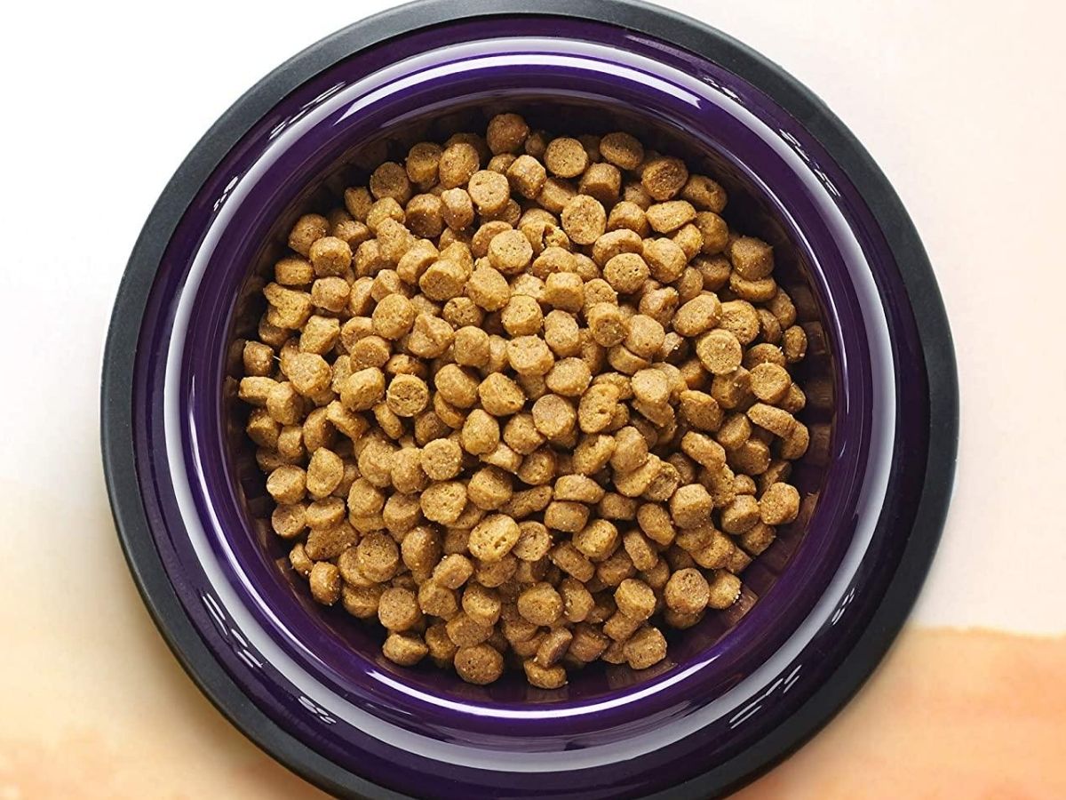 bowl of dog food