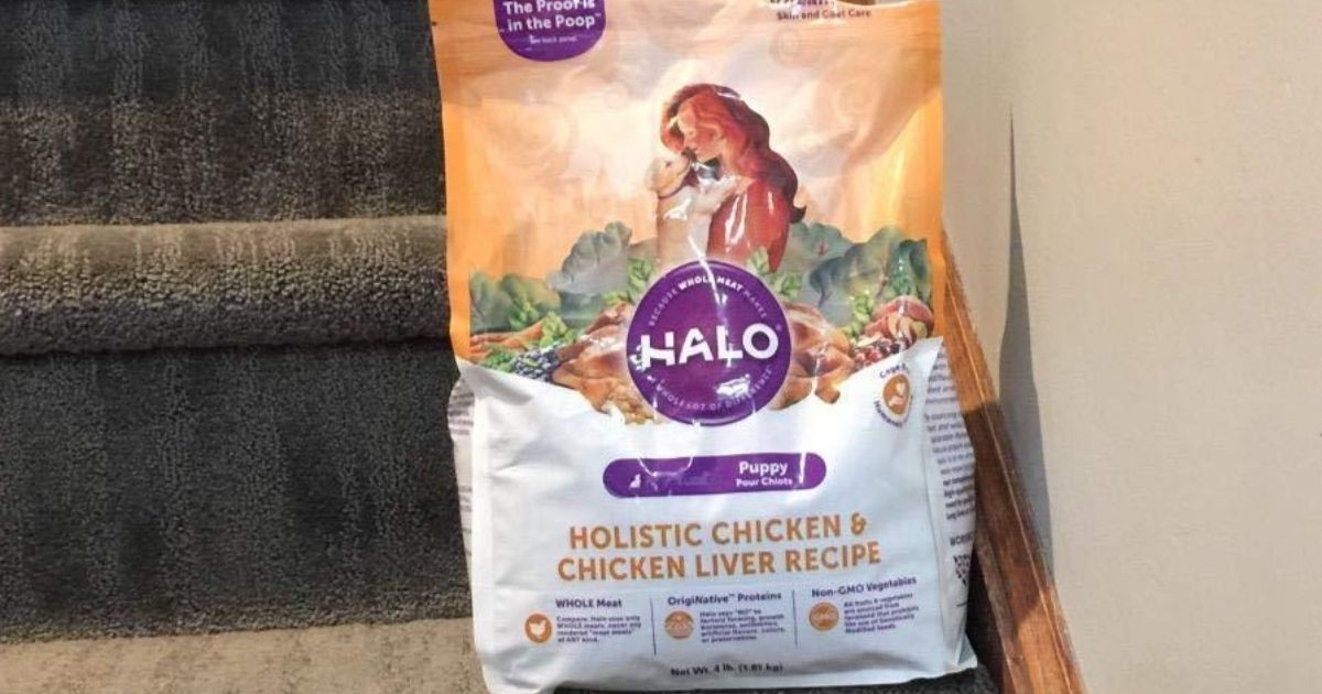 bag of dog food on stairs