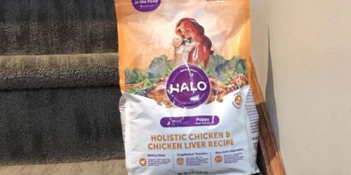 Halo Puppy Food 10-Pound Bag Just $22.41 Shipped on Amazon (Regularly $45)